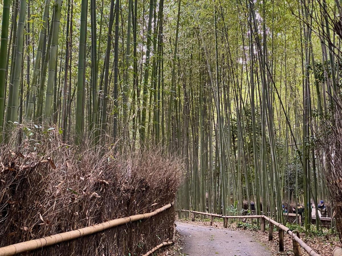 Yado Arashiyama Hotel Kyoto Bagian luar foto